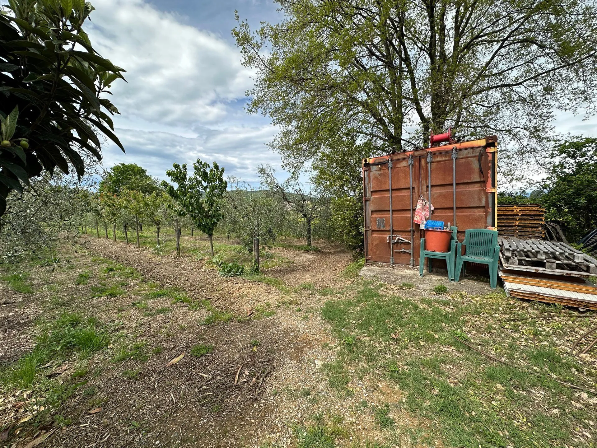 Immagine per Terreno agricolo in vendita a Castelnuovo Magra via Tavolara