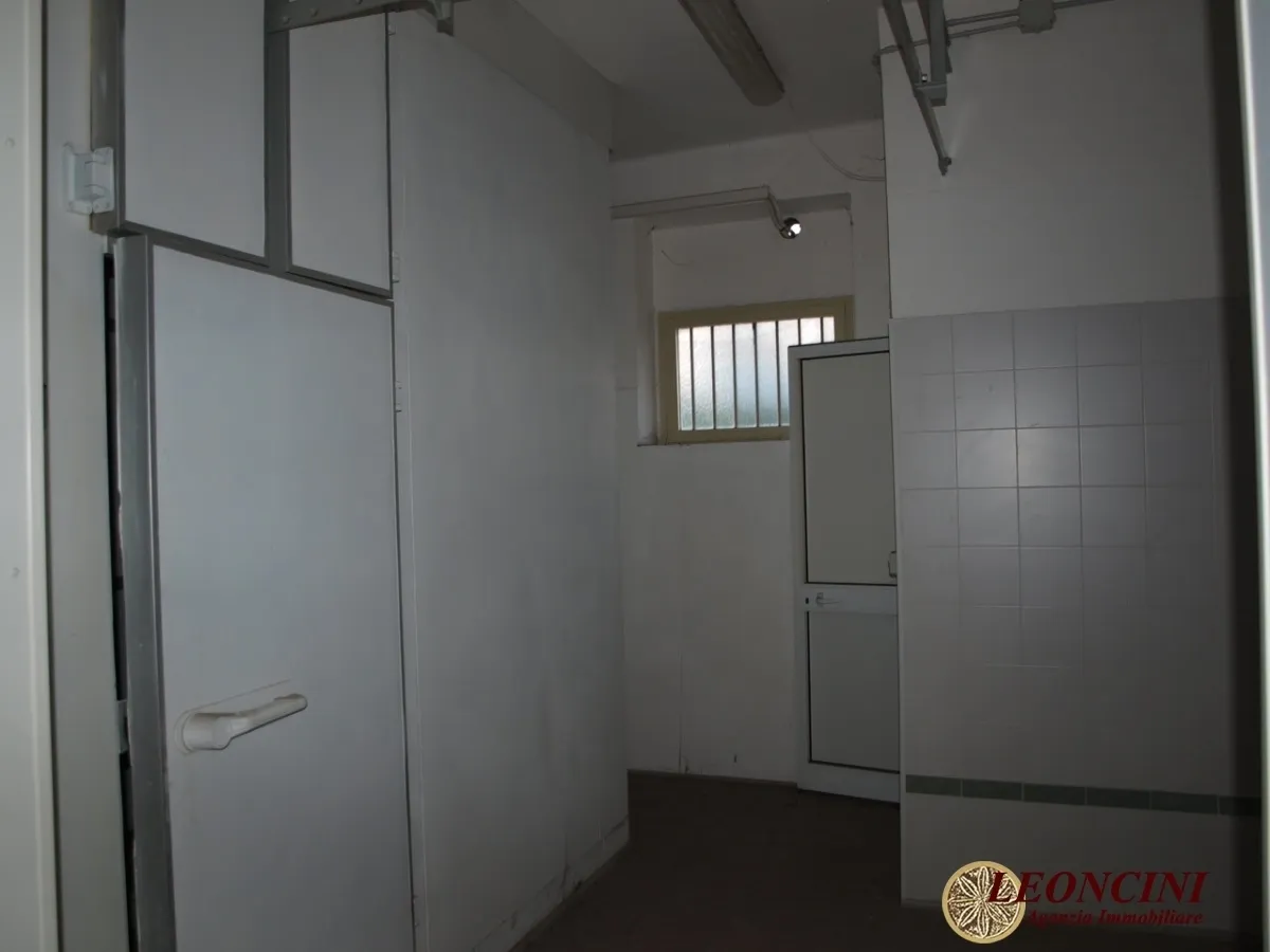 Immagine per Capannone in affitto a Lucca via Pesciatina