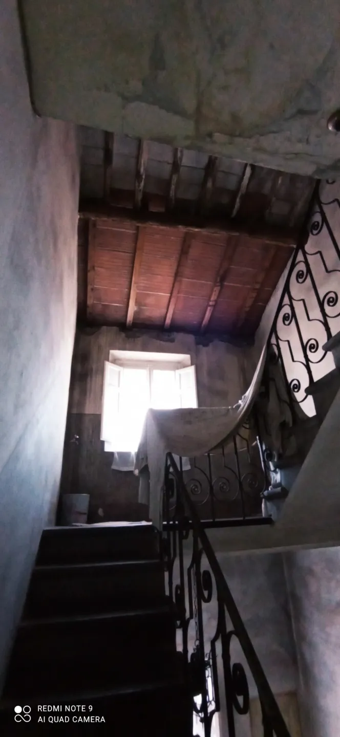 Immagine per Villa in vendita a Lucca