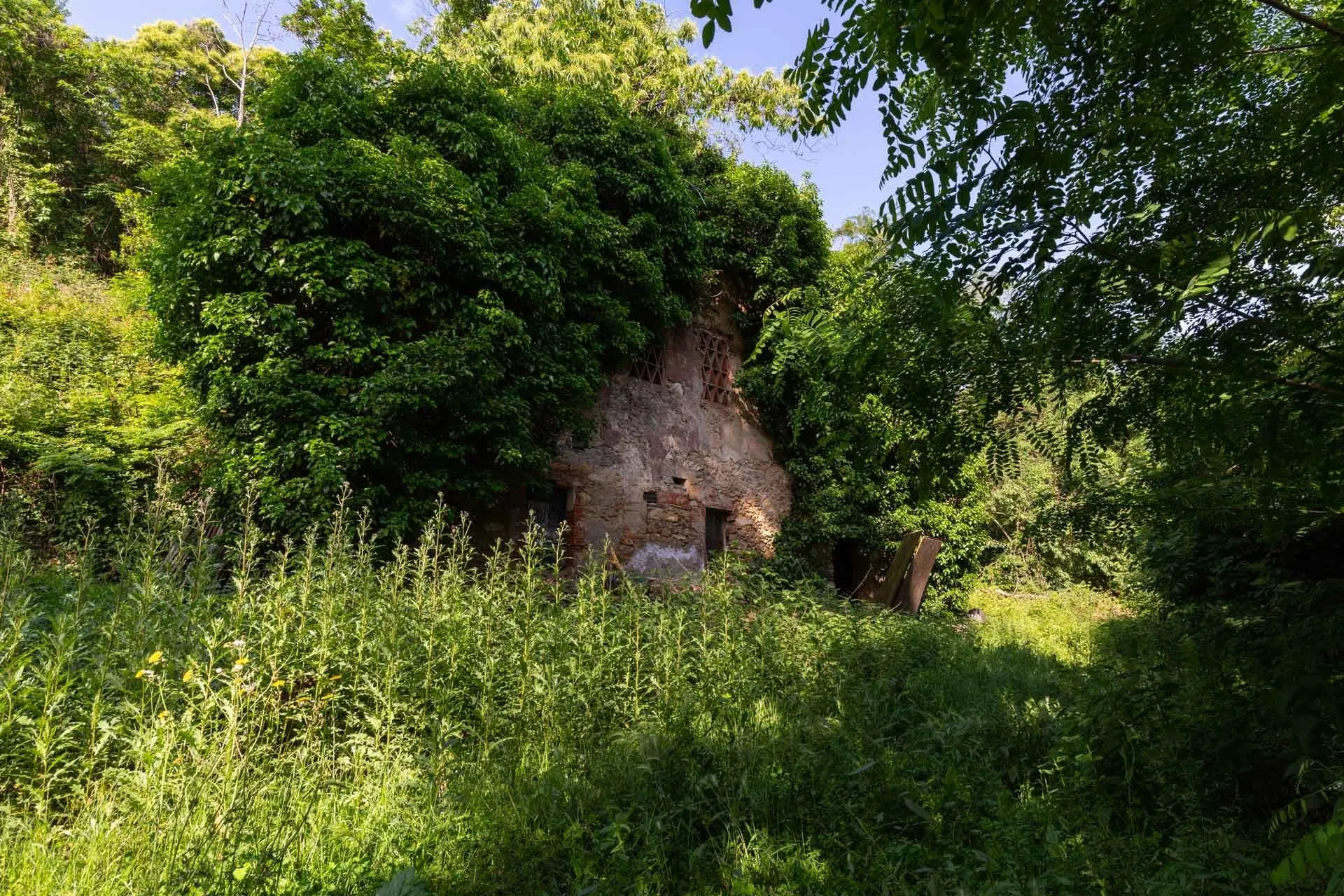 Immagine per Villa in vendita a Lucca via Della Cella