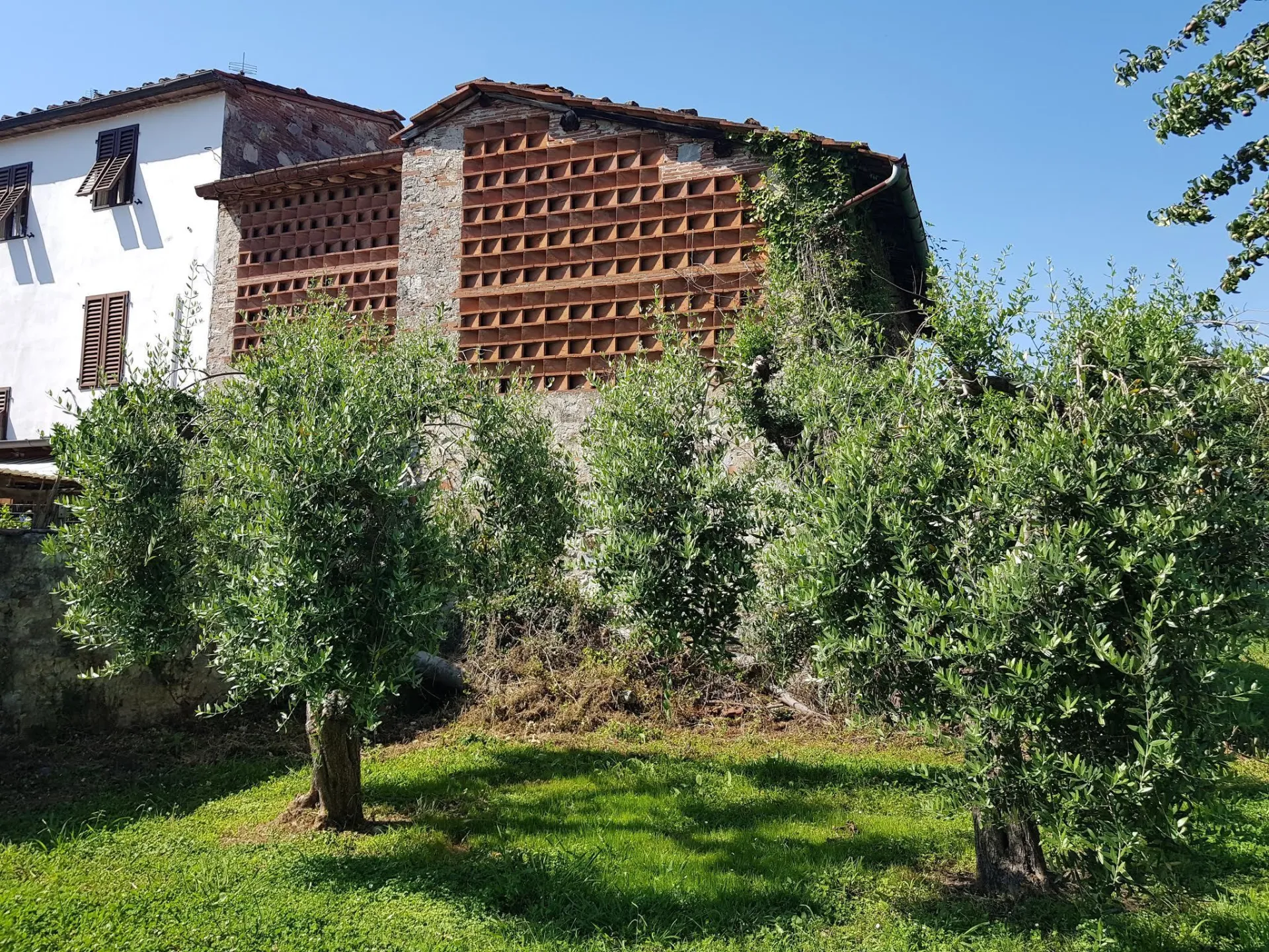 Immagine per Terratetto in vendita a Lucca