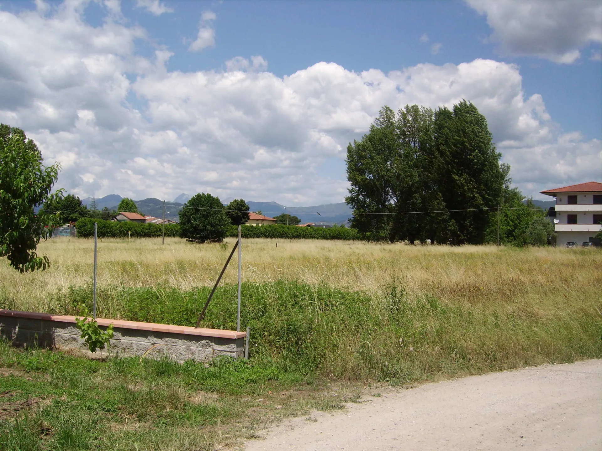 Immagine per Terreno agricolo in vendita a Lucca via Di Cocombola