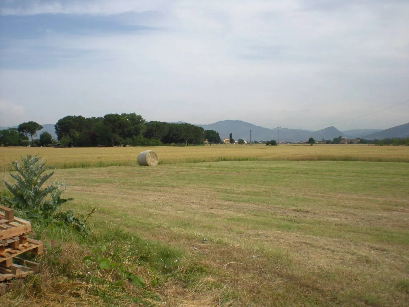 Immagine per Terreno Agricolo in vendita a Lucca via Per Corte Ceccotti