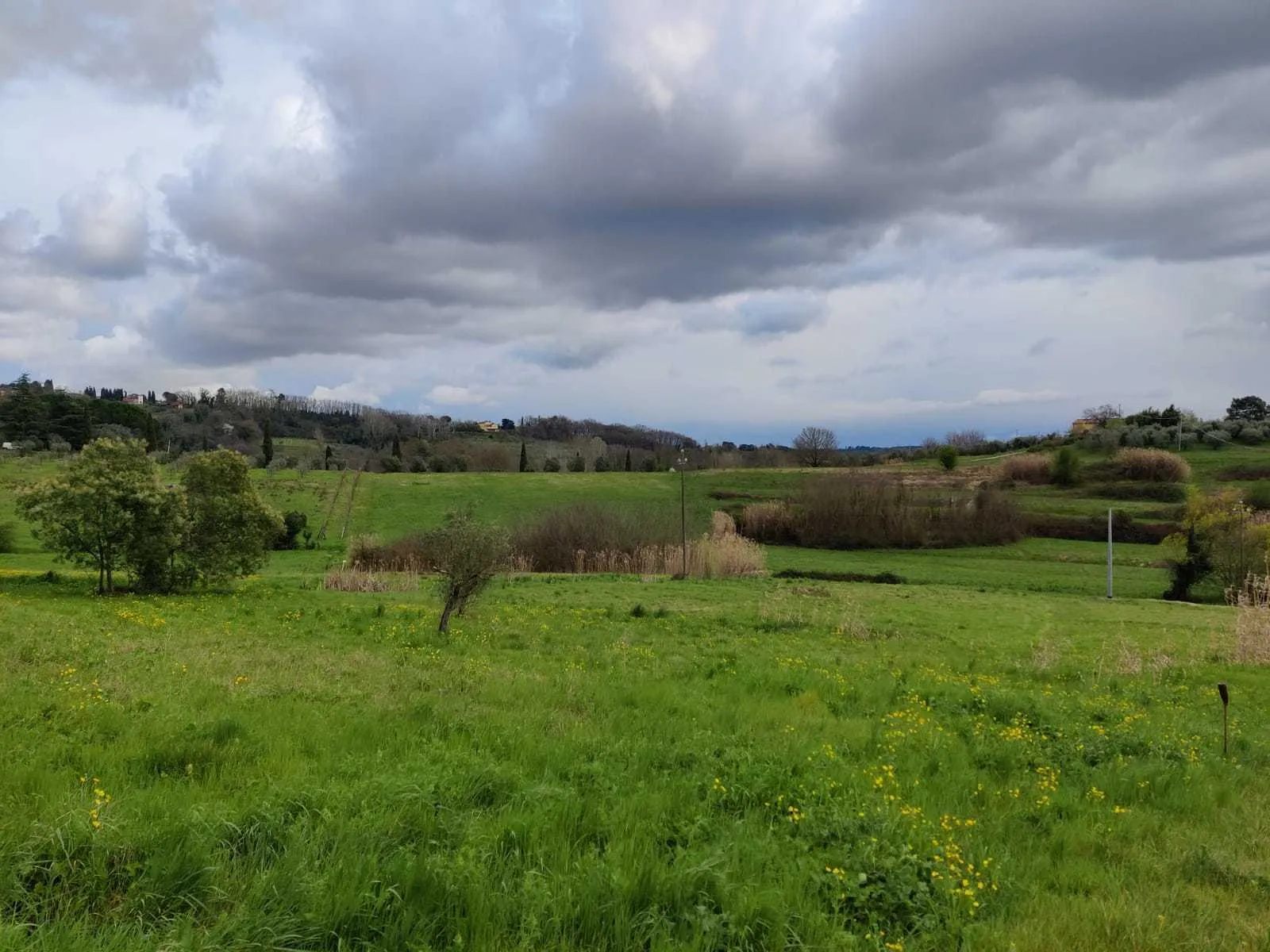 Immagine per Rustico in vendita a Lucca via Vicinale Dello Stecchino