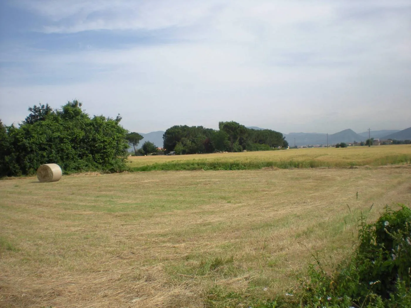 Immagine per Terreno agricolo in vendita a Lucca viale Europa