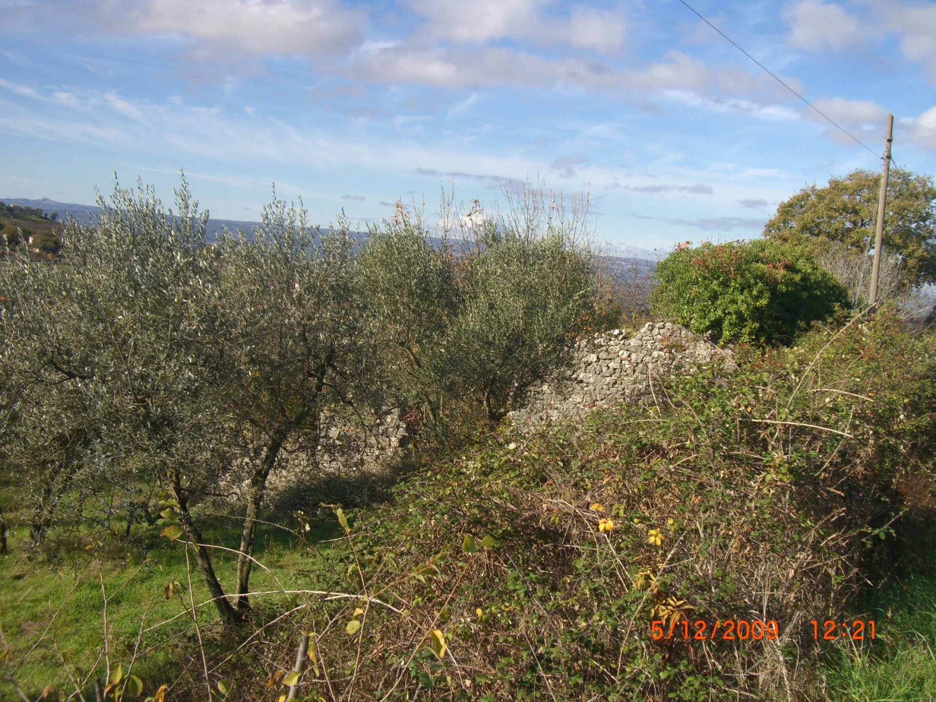 Immagine per Rustico in vendita a Lugnano in Teverina via Sp 33