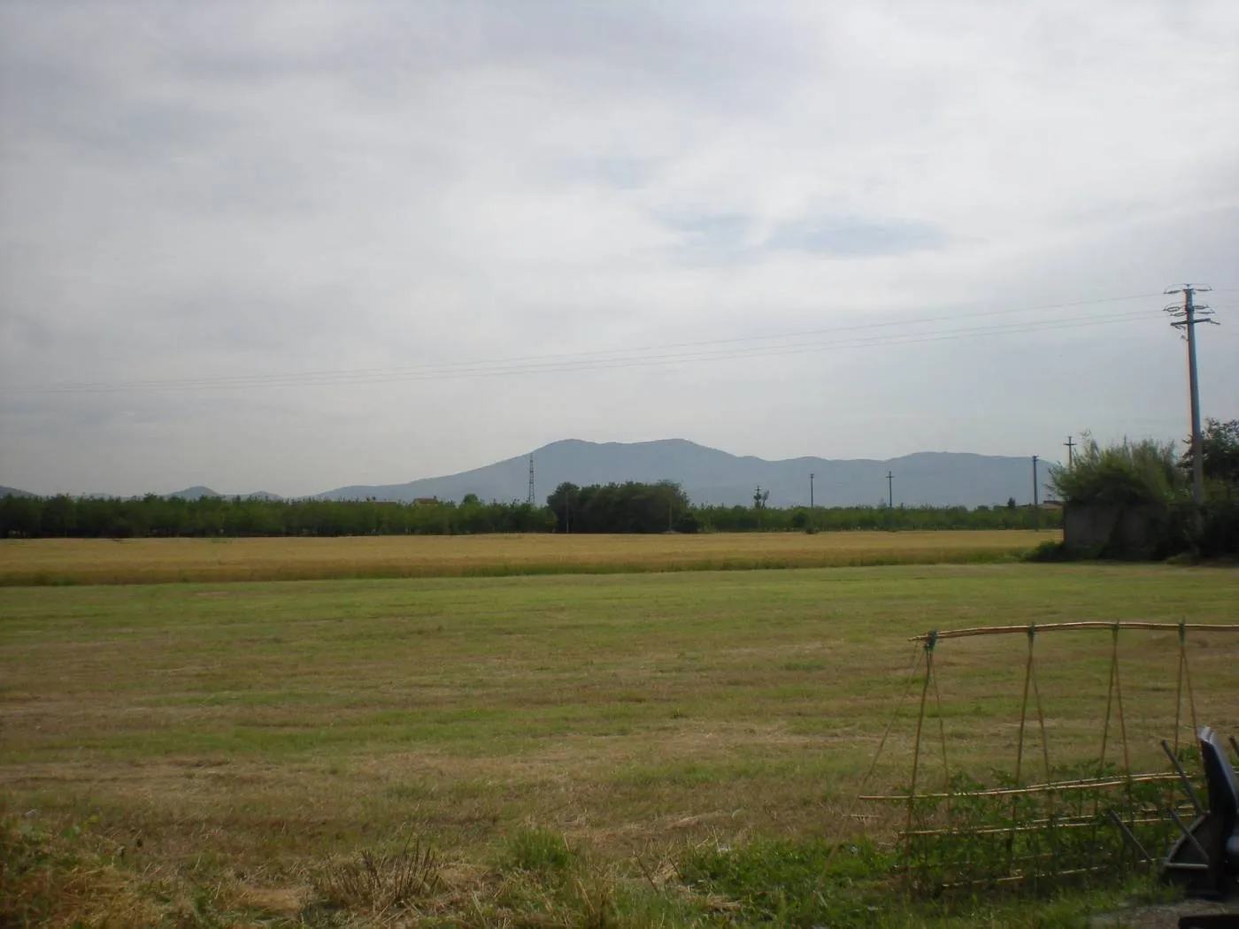 Immagine per Terreno agricolo in vendita a Lucca via Per Corte Sandori 134A