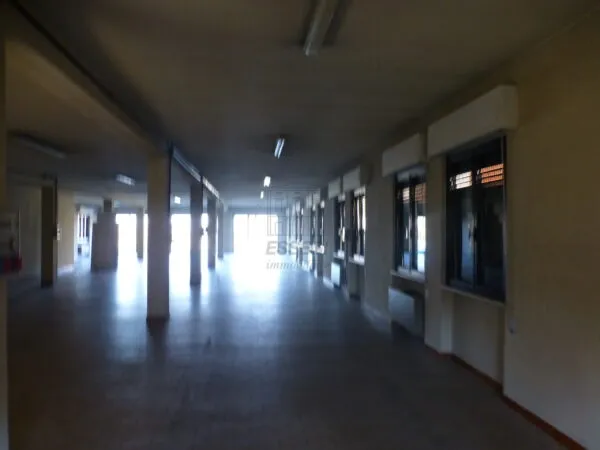 Locale Commerciale via Vecchia Pesciatina, Capannori