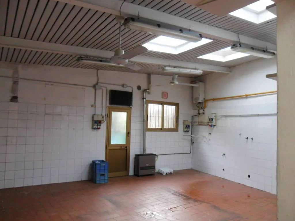 Immagine per Industriale in vendita a Capannori via Stradone Di Camigliano