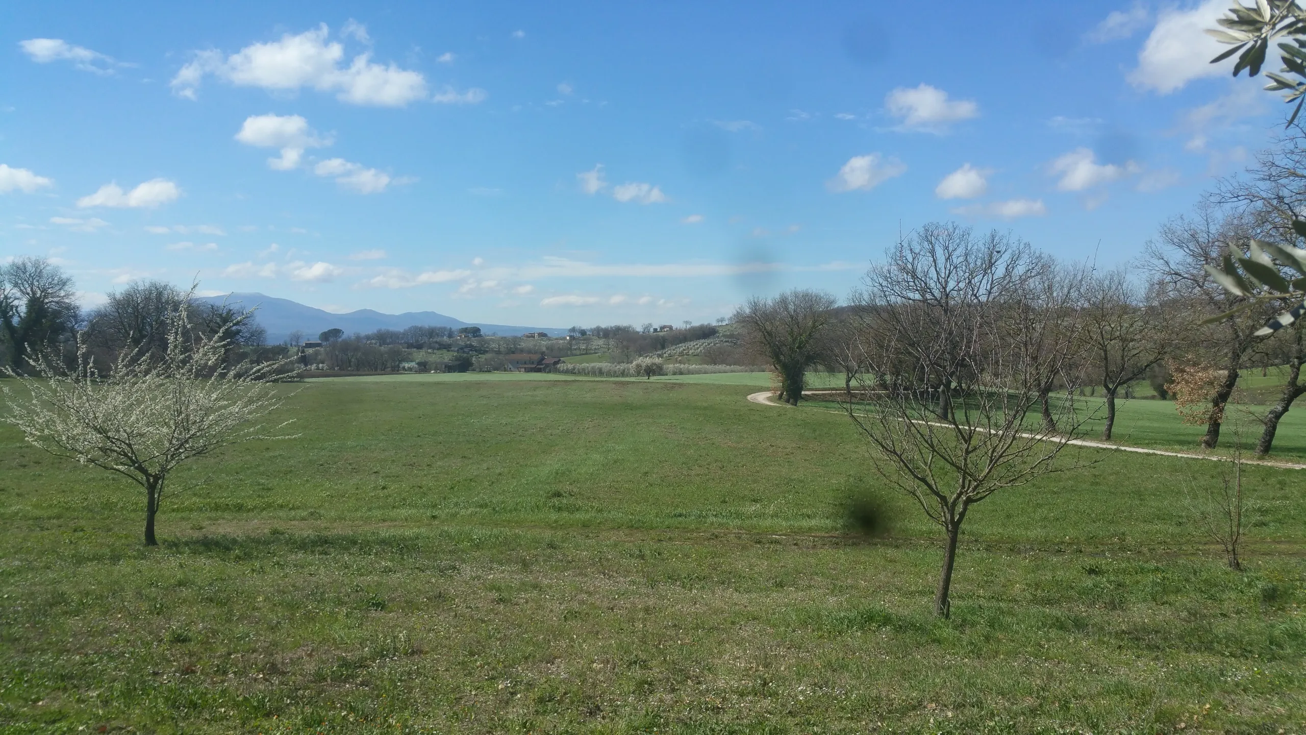 Immagine per Terreno Agricolo in vendita a Lugnano in Teverina via San Francesco