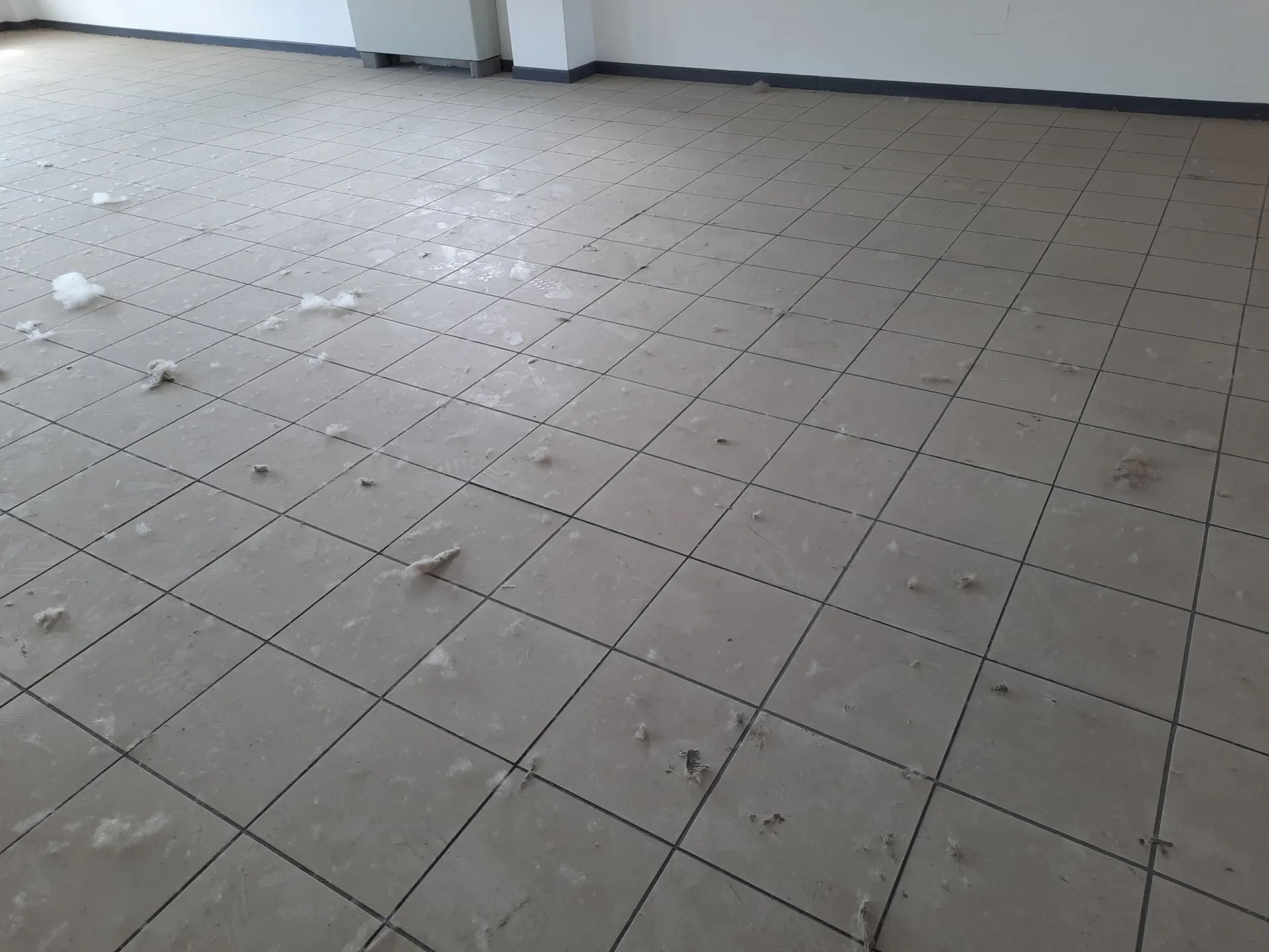 Immagine per Area verde in affitto a Lucca