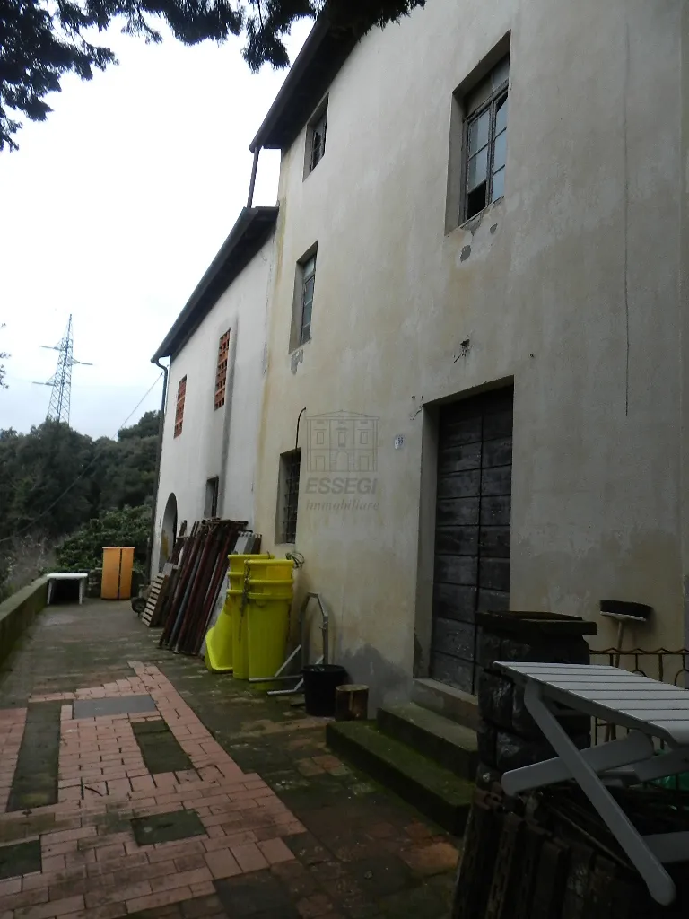 Immagine per Casale in vendita a Lucca via Per Chiatri