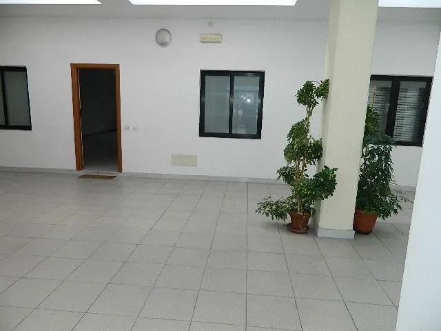 Immagine per Capannone in affitto a Lucca via Custer De Nobili Gino