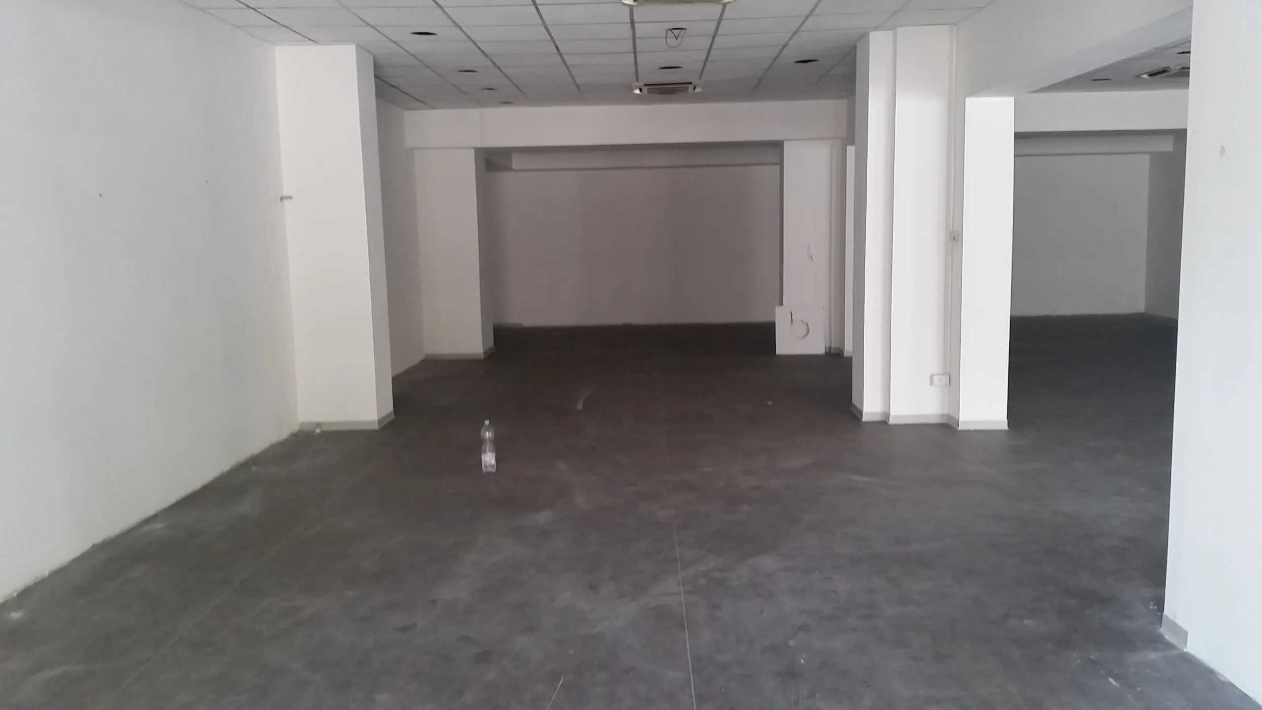 Immagine per Capannone in vendita a Lucca via Sarzanese