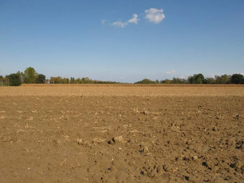 Immagine per Terreno agricolo in vendita a Falconara Marittima via Clementina