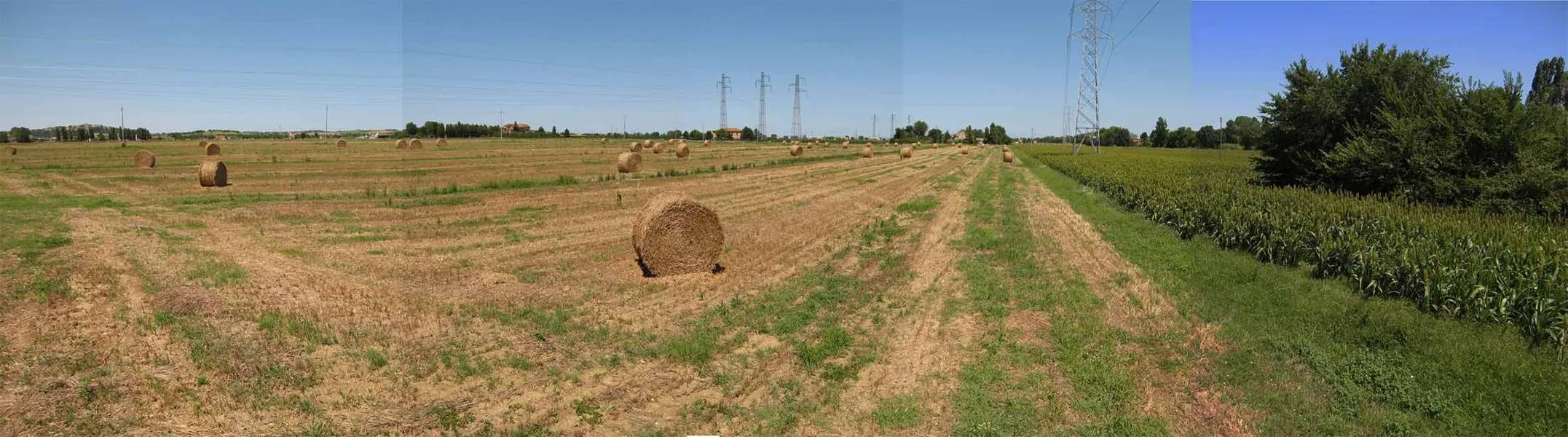 Immagine per Terreno agricolo in vendita a Falconara Marittima via Clementina