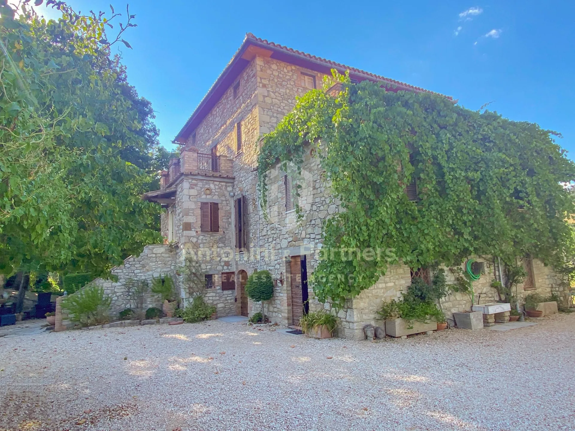 Immagine per Casale in vendita a Todi via Delle Caselle 36