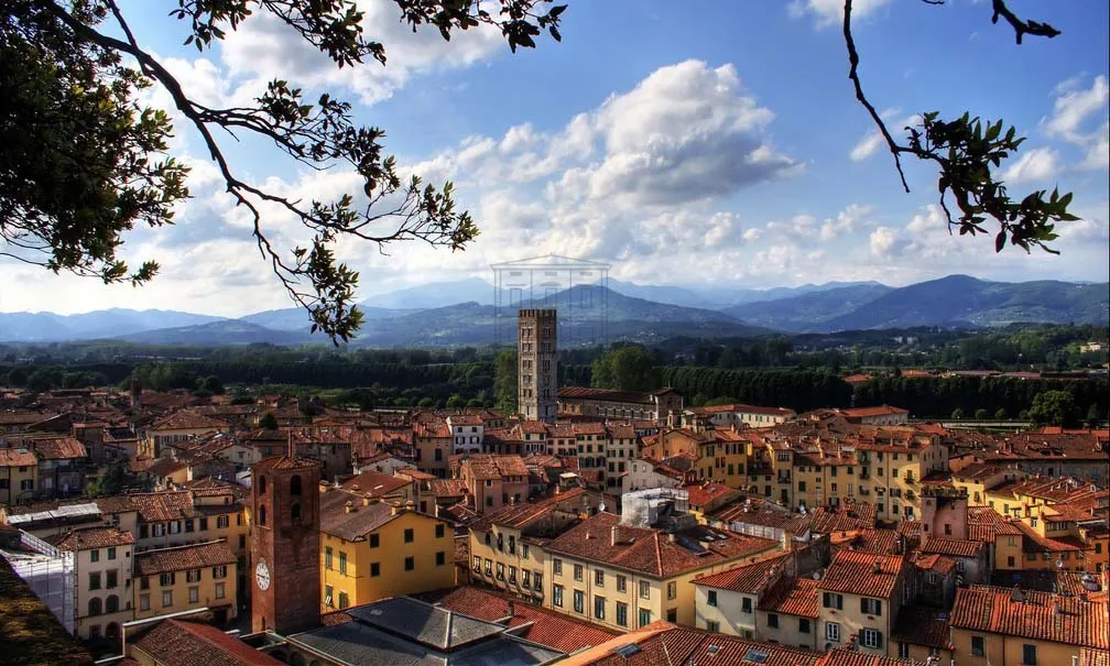 Immagine per Locale commerciale in vendita a Lucca via Beccheria 35