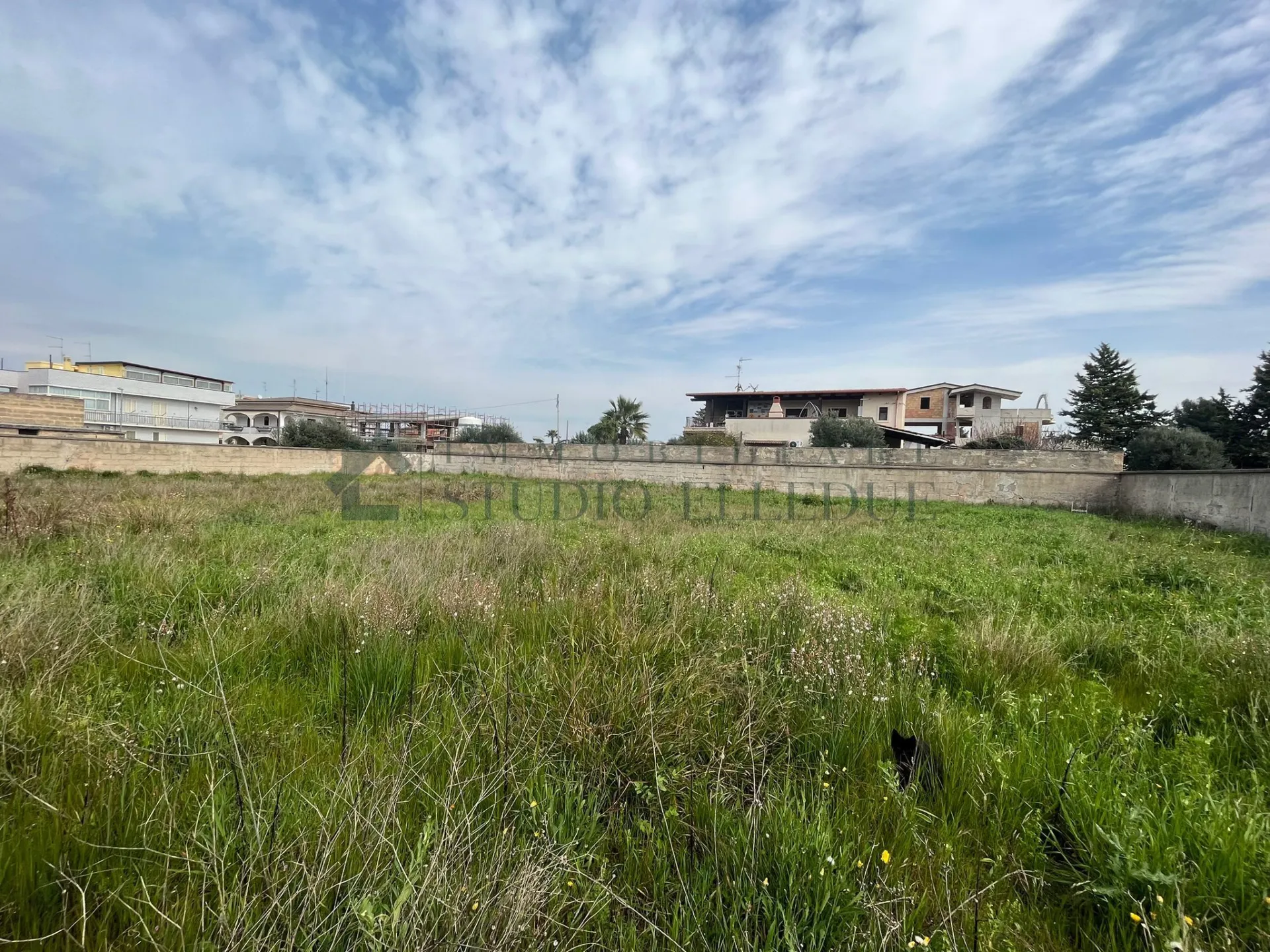Immagine per Industriale in vendita a Sannicandro di Bari via Pastrengo