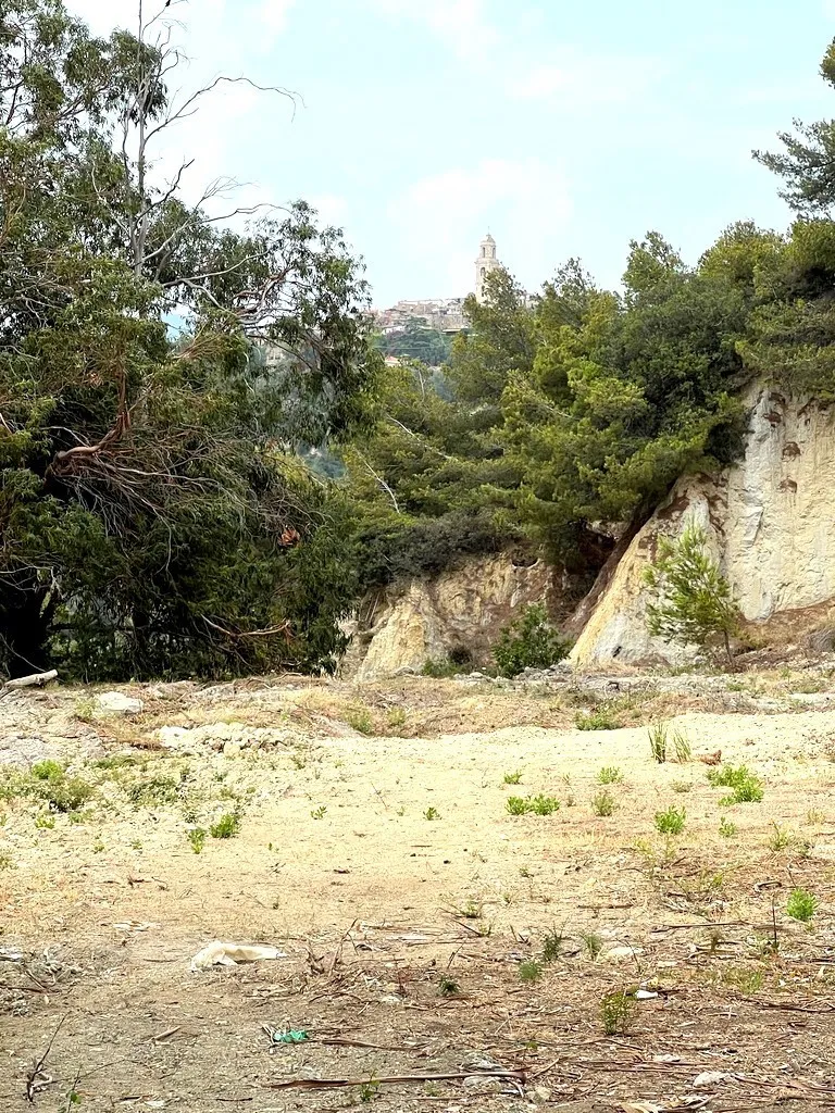 Immagine per Terreno agricolo in vendita a Sanremo strada Bussana Vecchia 49/a