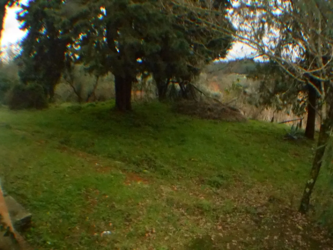 Immagine per Rustico in vendita a Lucca via Bocconi