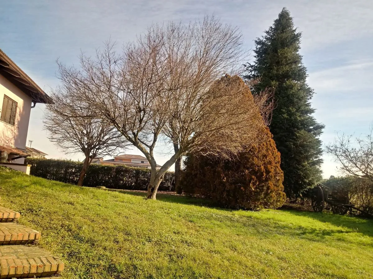 Immagine per Villa in vendita a Villata piazza Dardano 24a