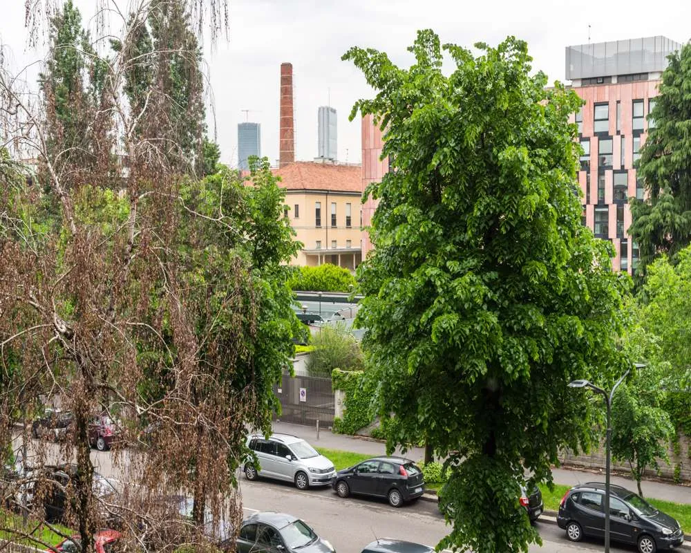 Immagine per Stanza in affitto a Milano