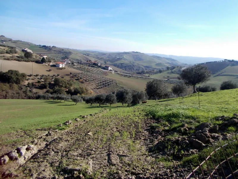 Immagine per Azienda agricola in vendita a Maltignano via Contrada Sardegna