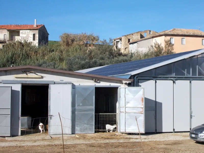 Immagine per Azienda agricola in vendita a Maltignano via Contrada Sardegna