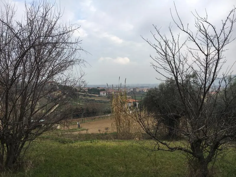 Immagine per Terreno edificabile in vendita a Monteprandone via Vicolo Matteotti Secondo