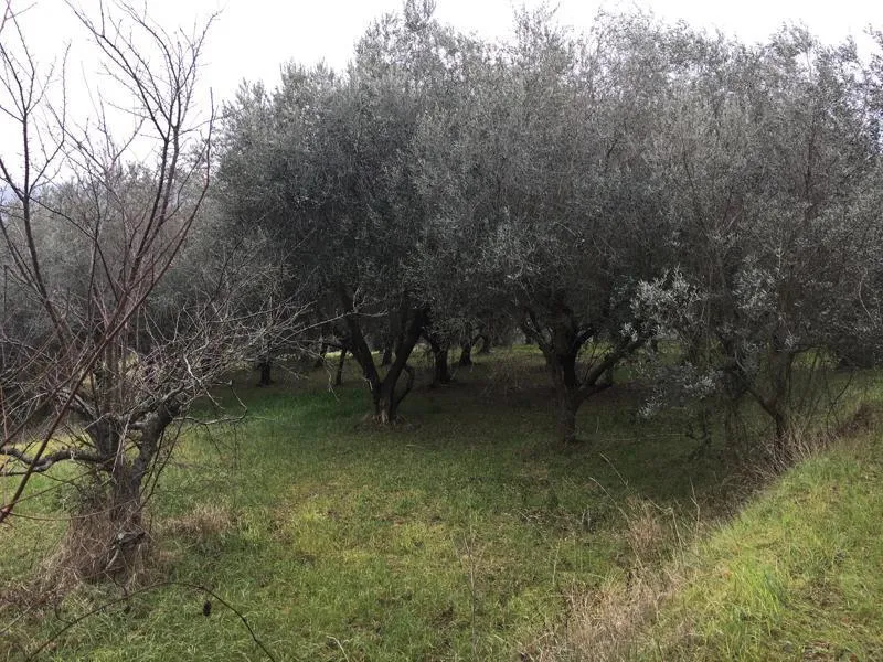Immagine per Terreno edificabile in vendita a Monteprandone via Vicolo Matteotti Secondo