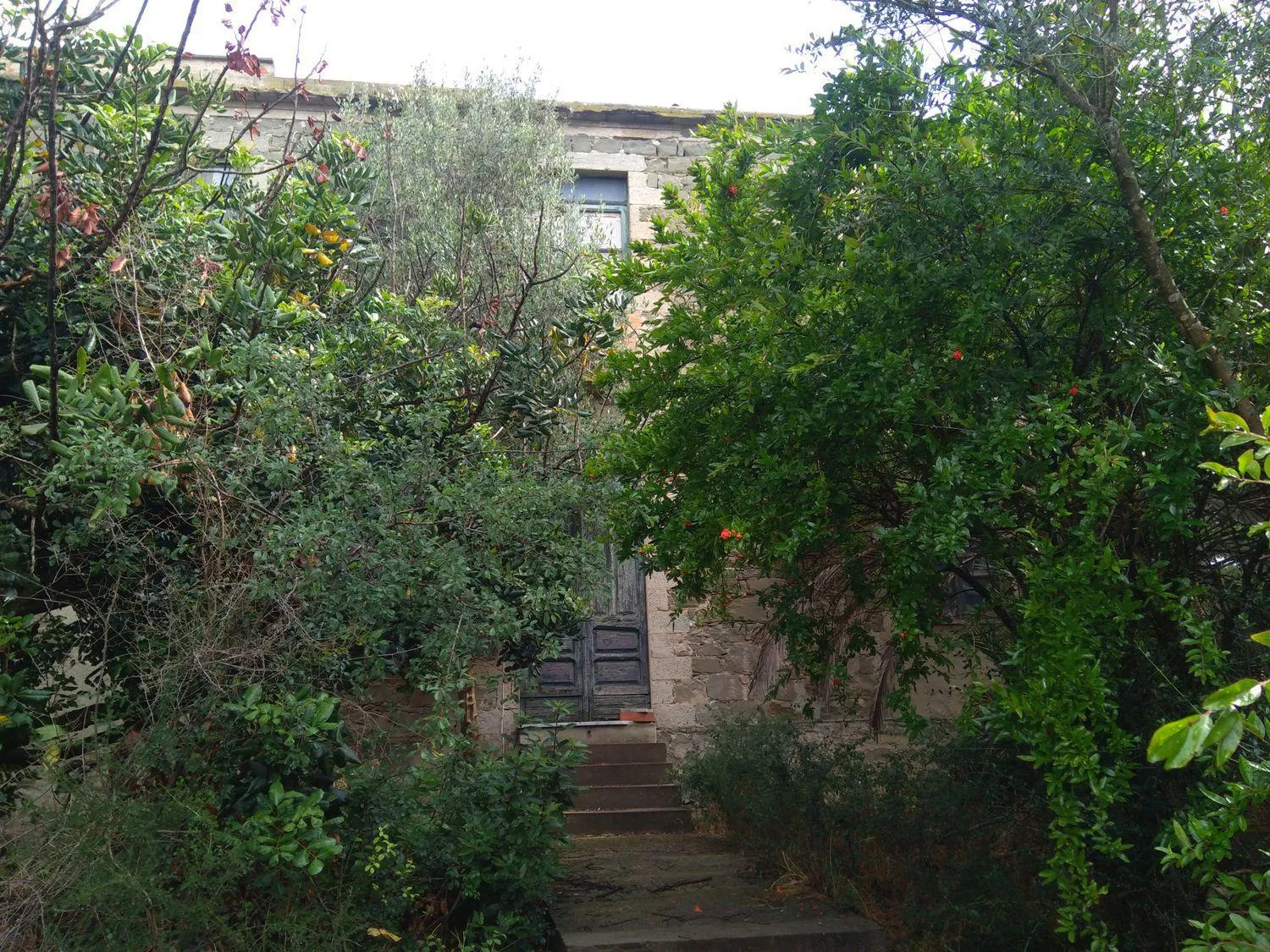 Immagine per Appartamento in vendita a Gonnoscodina via San Sebastiano 37