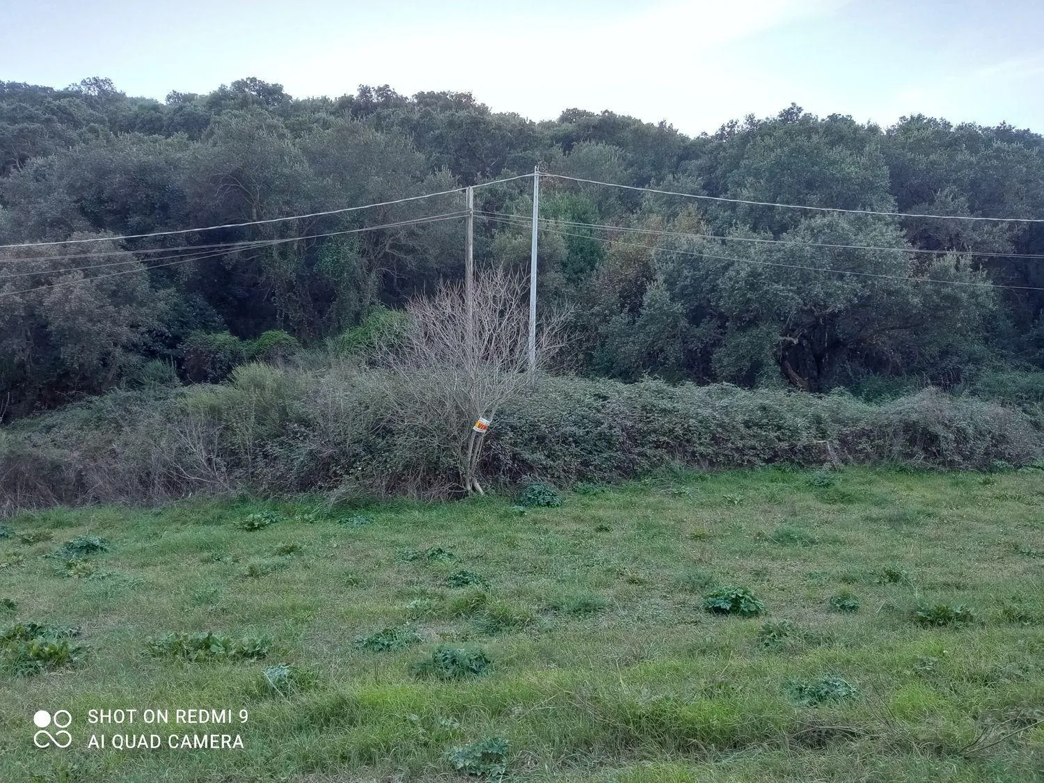 Immagine per Terreno Agricolo in vendita a Iglesias via Bingiargia