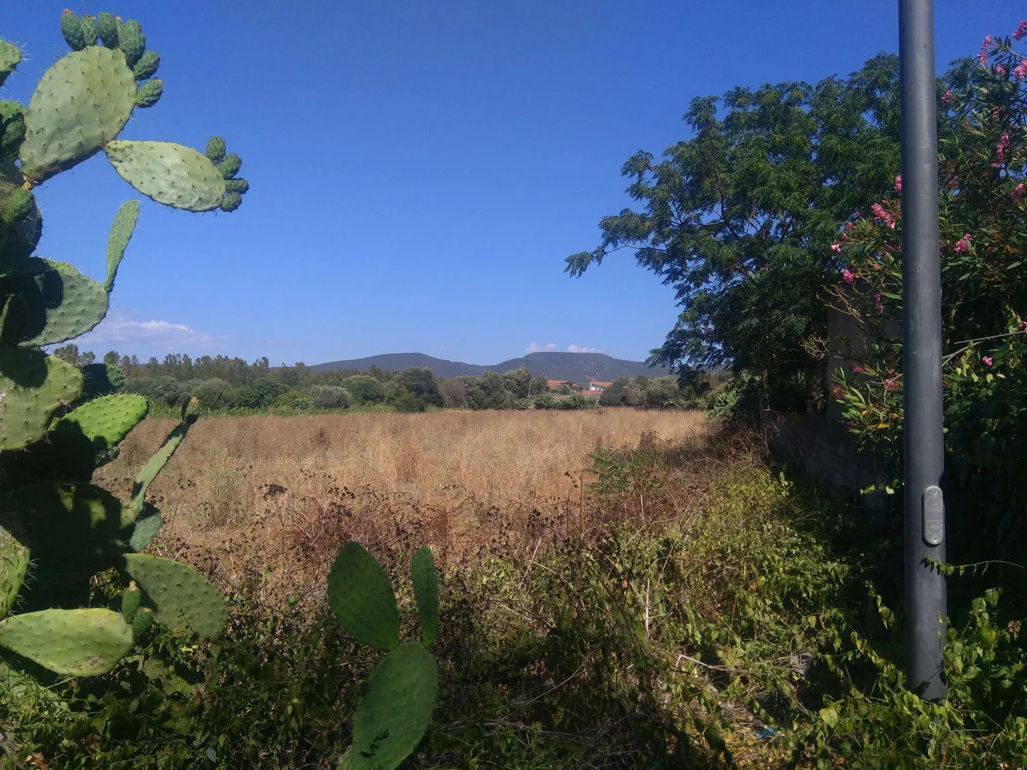 Immagine per Terreno Edificabile in vendita a Masainas via Canigonis