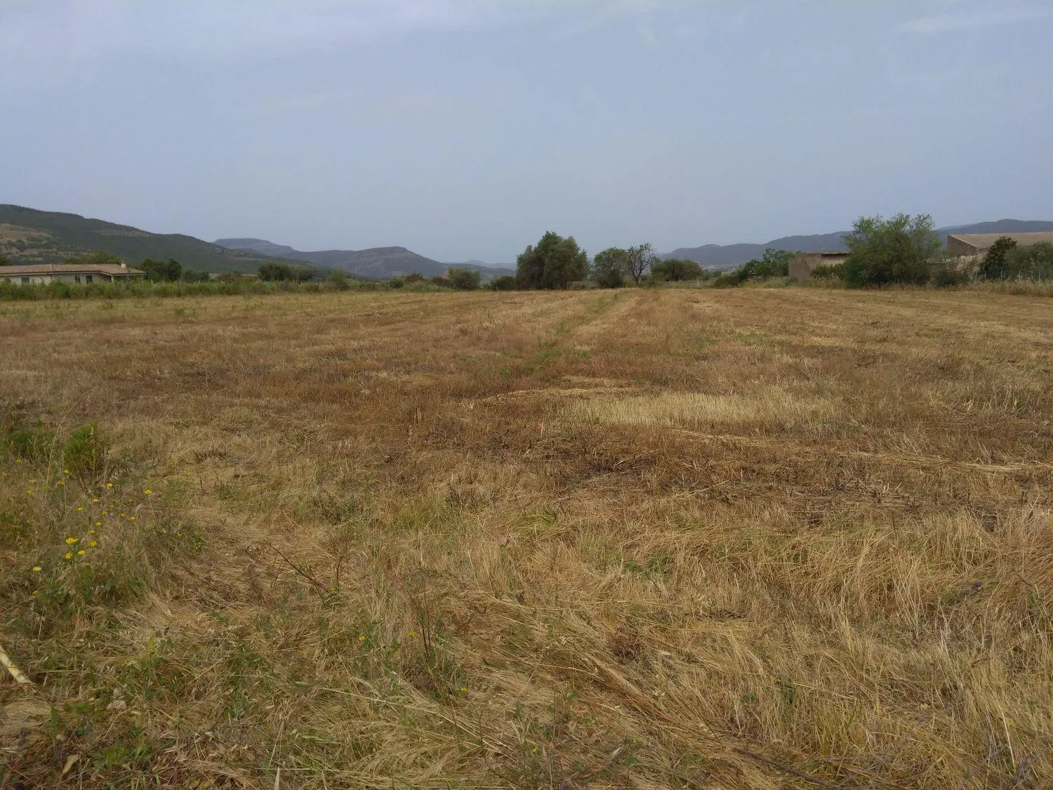 Immagine per Terreno Edificabile in vendita a Nuxis via Is Pinnas