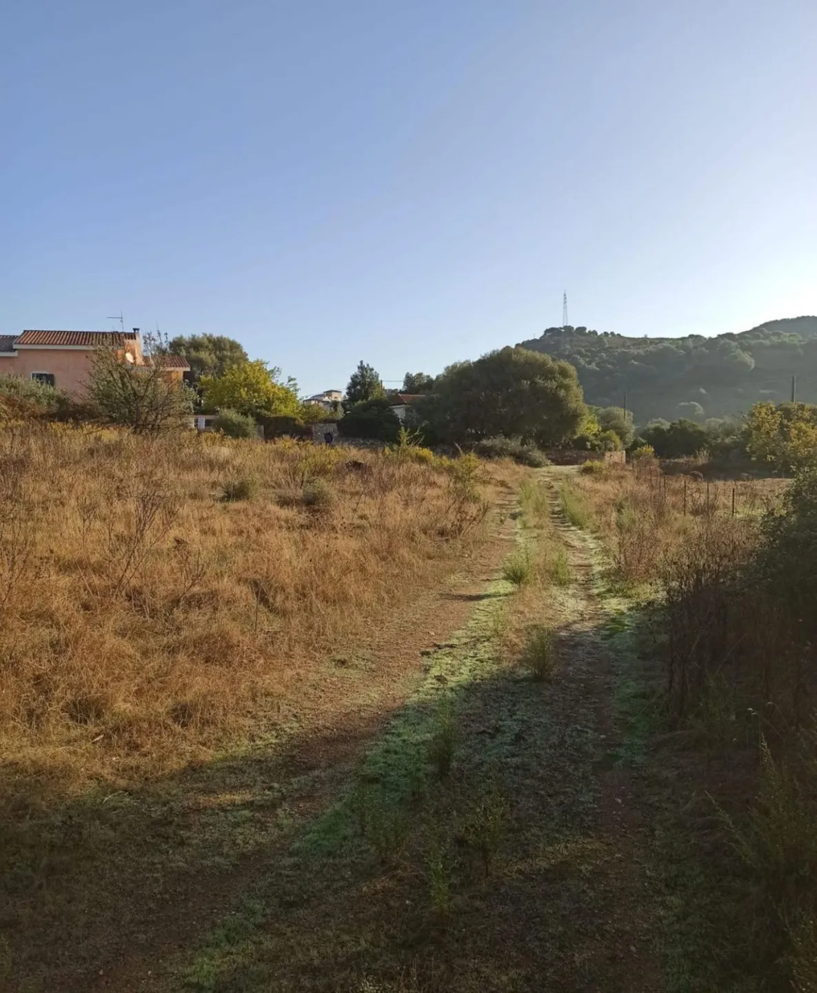 Immagine per Terreno Edificabile in vendita a Budoni via San Lorenzo