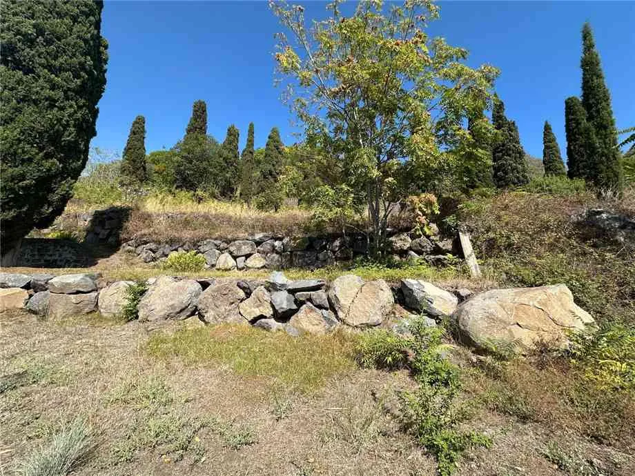 Immagine per Villa in vendita a Catania via Casalrosato