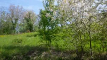 Villa via Montaldo, Montaldo Torinese
