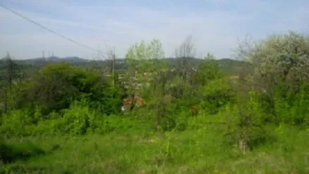 Villa via Montaldo, Montaldo Torinese