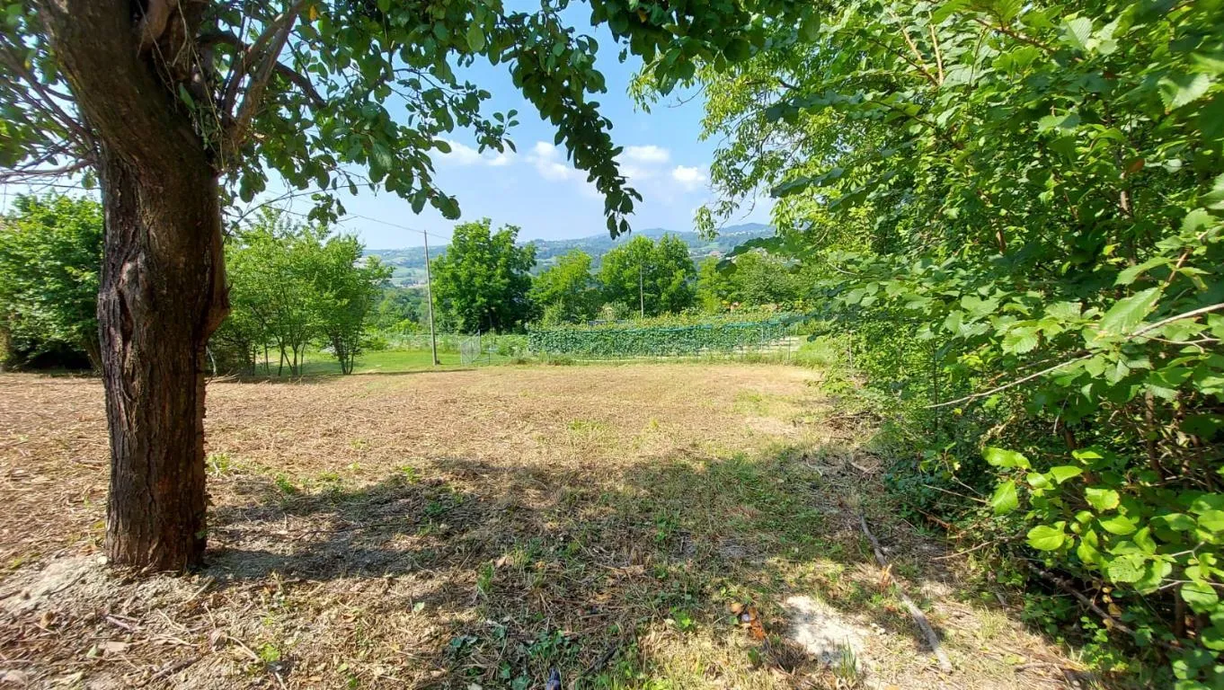 Immagine per Villa in vendita a Montaldo Torinese montaldo
