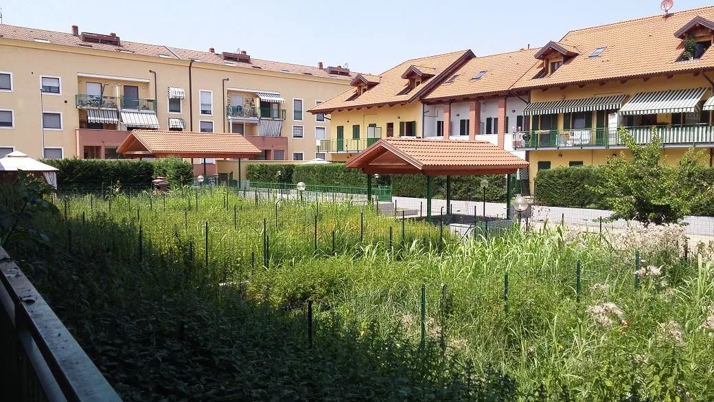 Immagine per Villetta a schiera in vendita a Torino Via Giorgio Ferrini