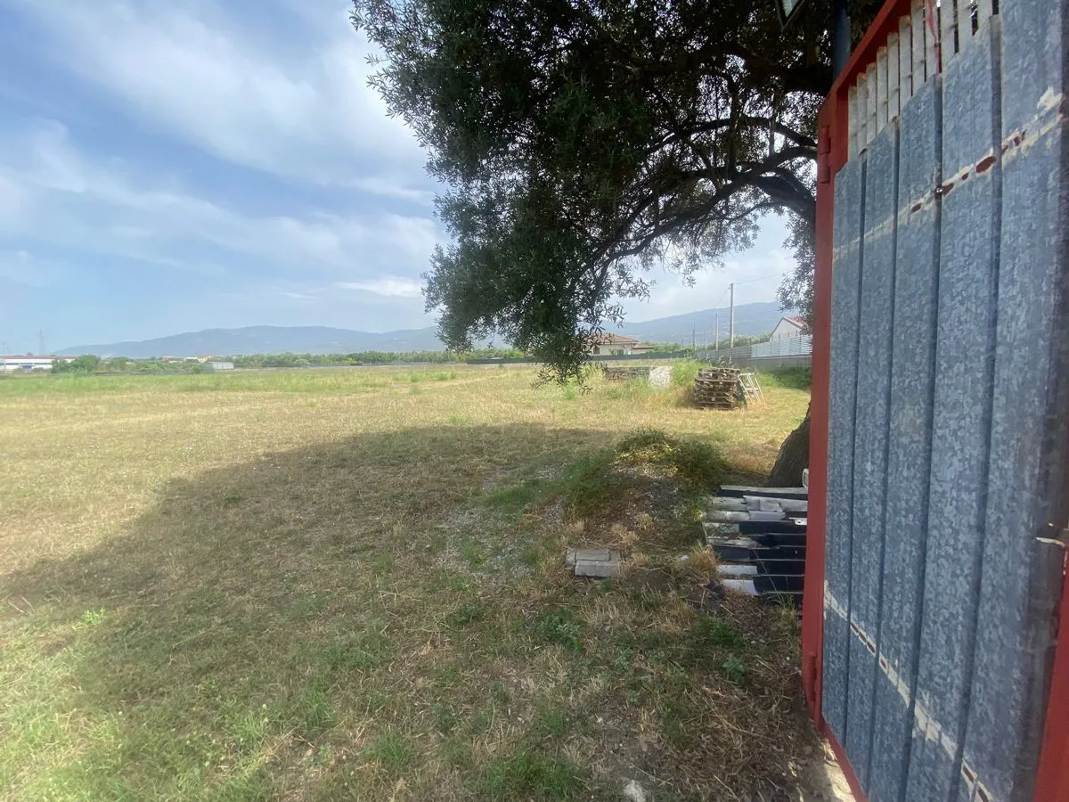 Immagine per Terreno Agricolo in vendita a Lamezia Terme