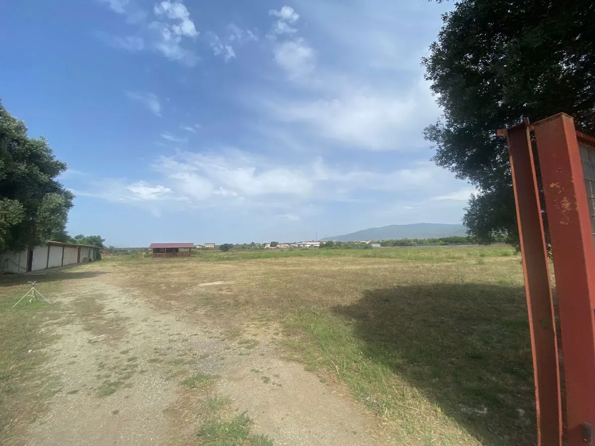 Immagine per Terreno Agricolo in vendita a Lamezia Terme