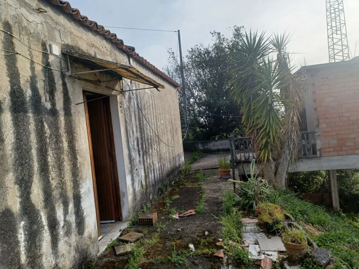 Immagine per Casa Indipendente in vendita a Maierà via Contrada Lauro