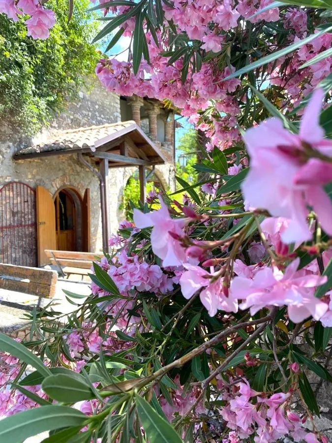 Immagine per Villa in vendita a Narni via Tiberina