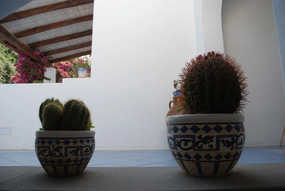 Immagine per Villa in vendita a Lipari