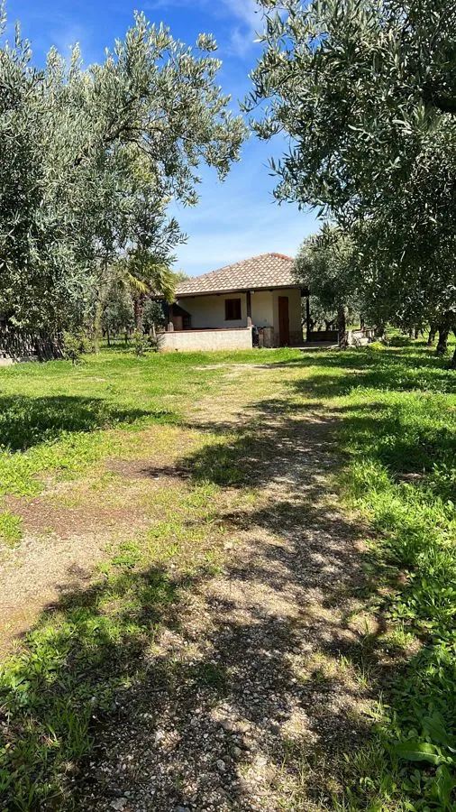 Immagine per Terreno Agricolo in vendita a Lamezia Terme via Raoul Morelli 133