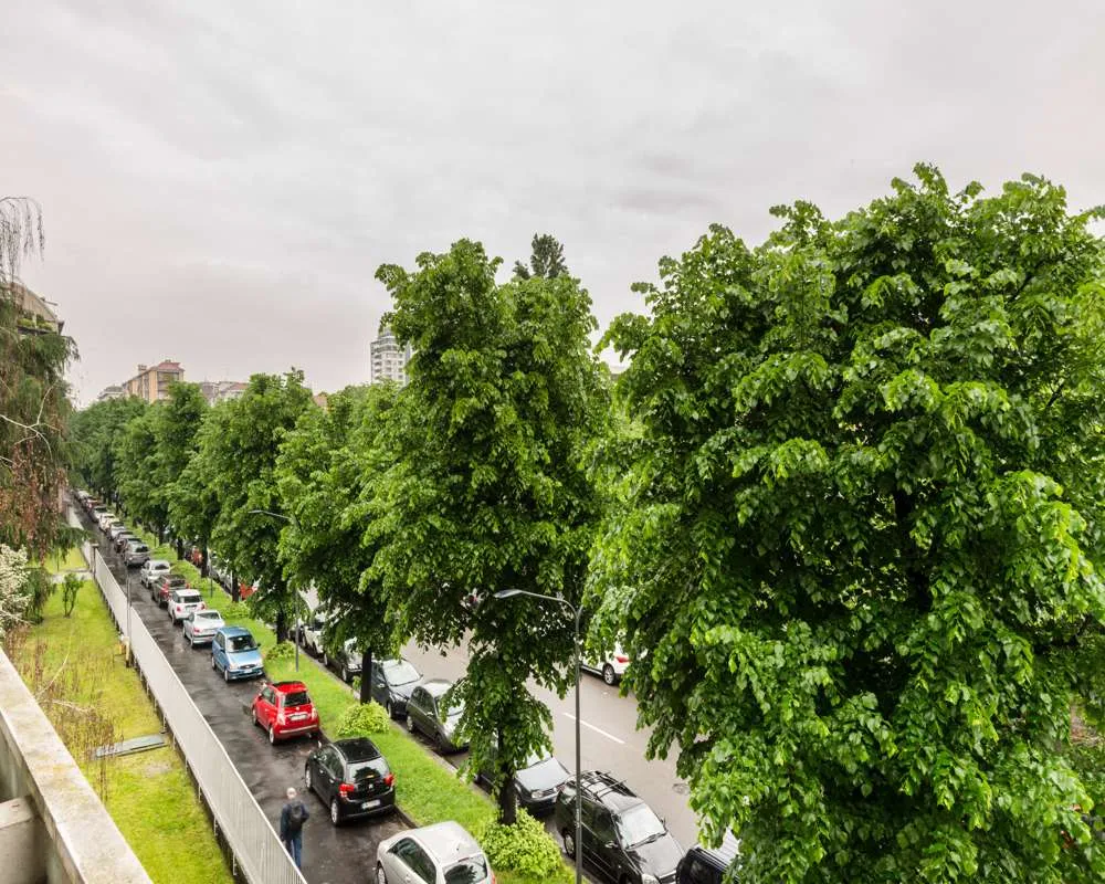 Immagine per Stanza in affitto a Milano