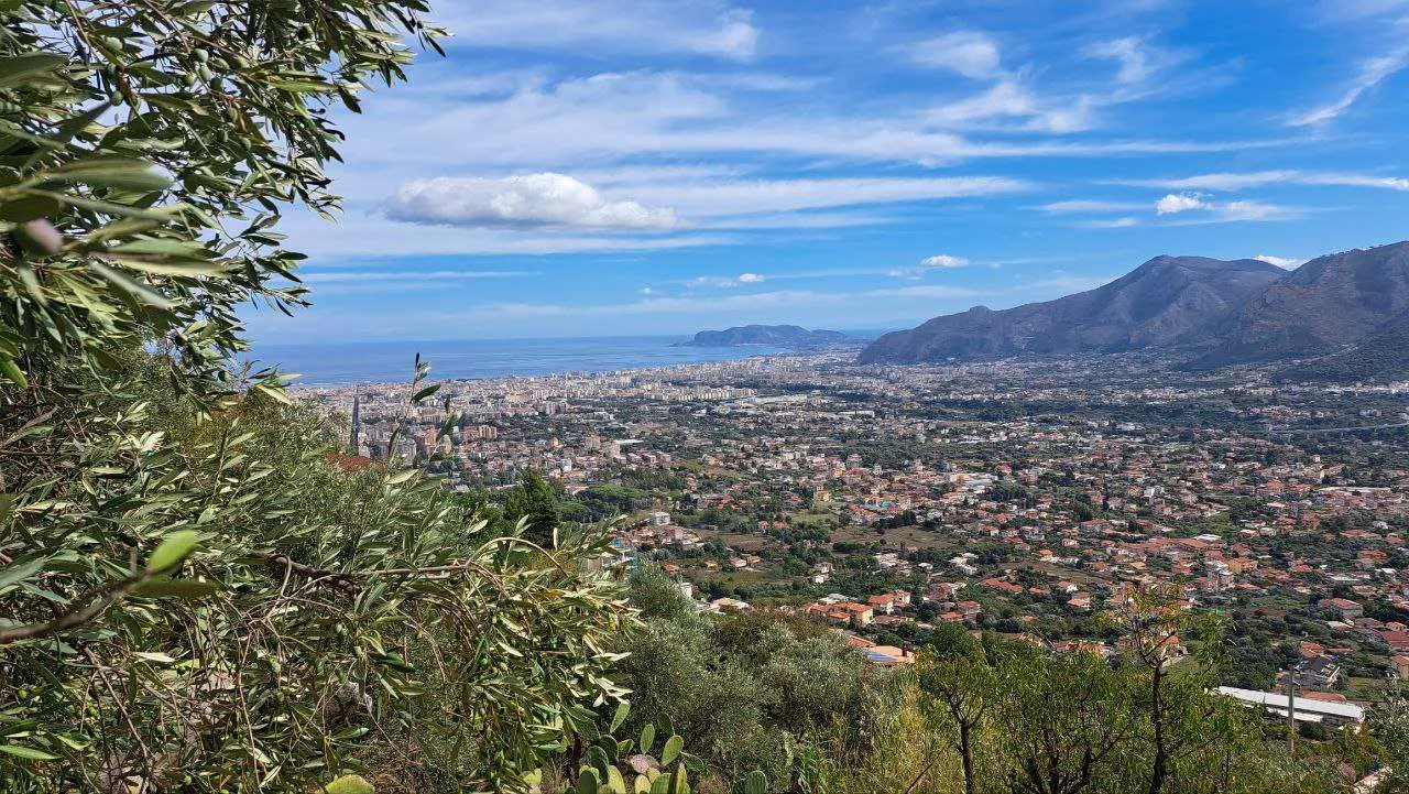 Immagine per Terreno edificabile in vendita a Monreale via Regione Siciliana