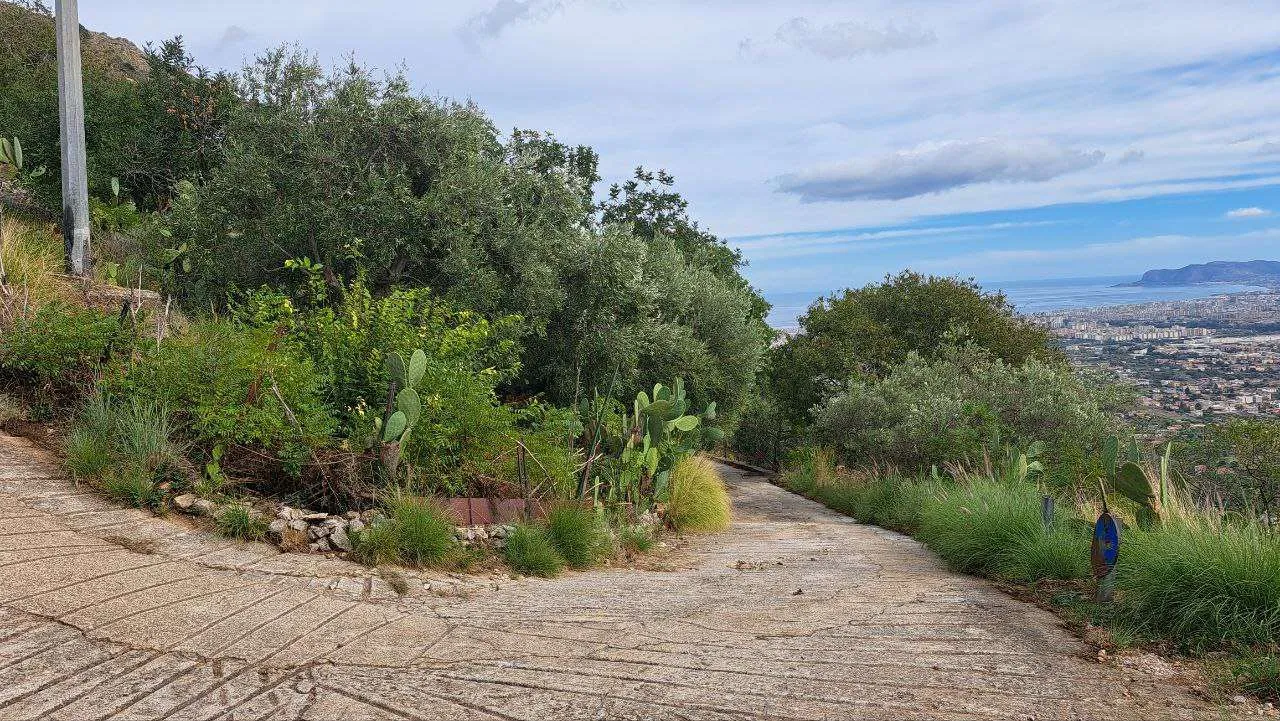 Immagine per Terreno edificabile in vendita a Monreale via Regione Siciliana